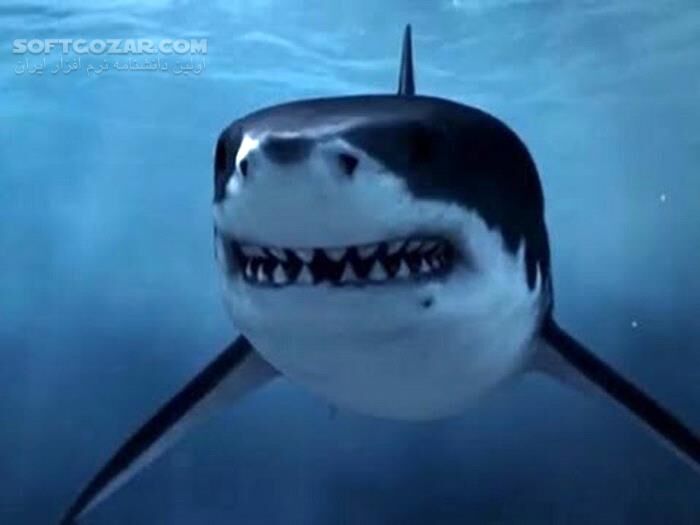 دانلود Underwater Universe - دانلود مستند درباره اعماق دریا - سافت گذر