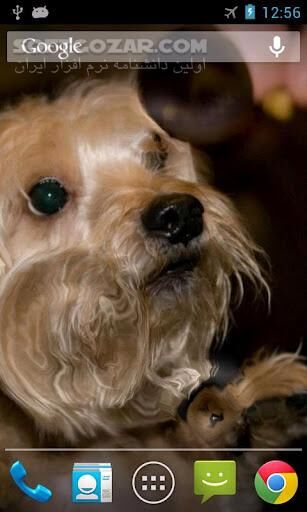 دانلود Water Pro 1.0.0 for Android - دانلود امواج آب بر روی صفحه نمایش برای اندروید - سافت گذر