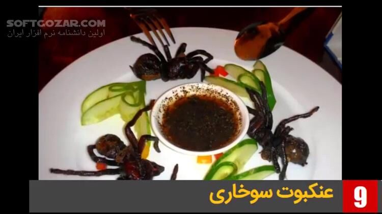 دانلود ویدئوی فارسی معرفی 14 غذای عجیب و غریب از کشورهای مختلف - دانلود عجیب ترین غذاهای دنیا - سافت گذر