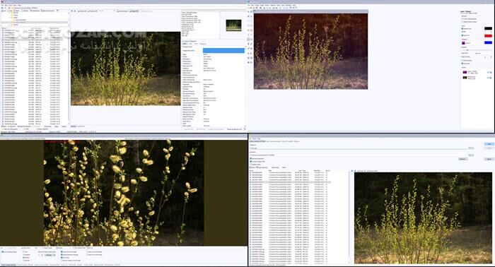 دانلود WildBit Viewer 6.19 Commercial - دانلود نرم‌افزار مشاهده و ویرایش عکس‌ - سافت گذر