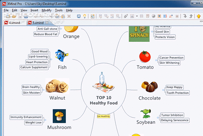 دانلود XMind 2025 25.07.03033 / macOS - دانلود نرم افزار پیاده سازی نقشه ها و ایده های ذهنی - سافت گذر