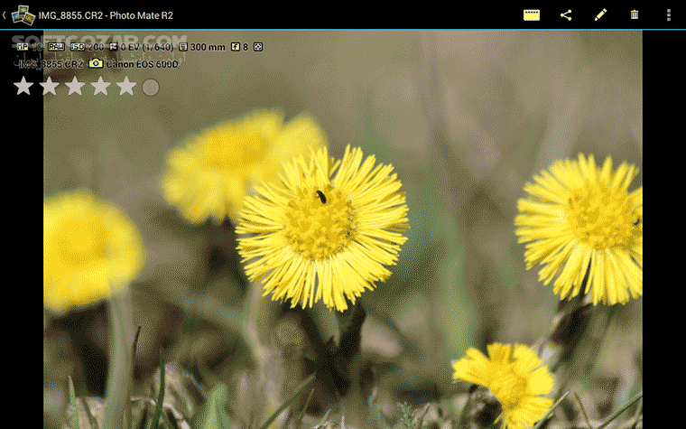 دانلود Photo Mate R3 3.6.1 for Android +4.0 - دانلود عکاسی برای اندروید - سافت گذر