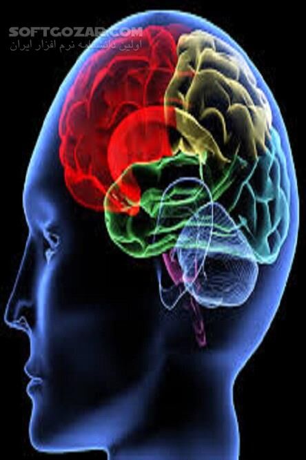 دانلود پوست، جمجمه و استخوان‌های سر، مغز در طب اسلامی - دانلود کتاب آناتومی اسلامی تدریس آیت الله تبریزیان - سافت گذر