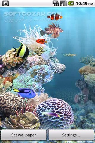 دانلود aniPet Aquarium Live Wallpaper 2.5.2 for Android +2.1 - دانلود ماهیهای دریا برای اندروید - سافت گذر