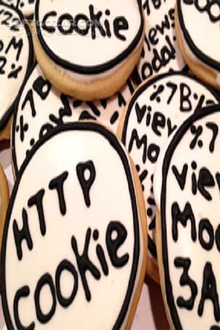 دانلود انواع کوکی و کاربردهای کوکی - دانلود کتاب مفهوم کوکی - سافت گذر