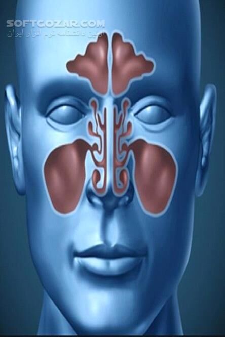 دانلود روش درمان بیماری‌های چشم، گوش و سینوزیت - دانلود کتاب شیوه درمان سنتی و اسلامی بیماری‌های چشم، گوش و سینوزیت - سافت گذر