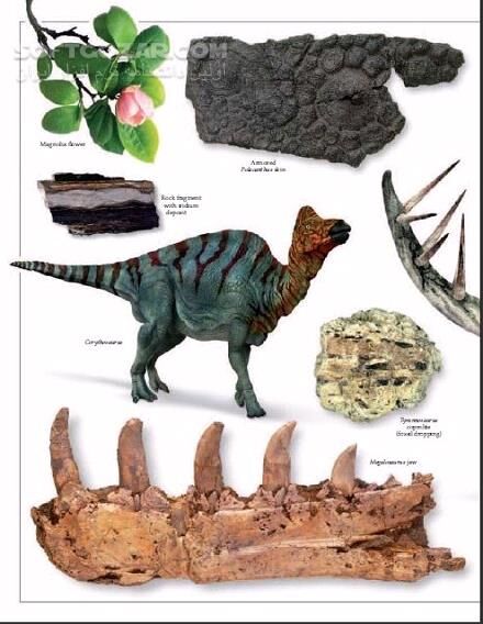 دانلود Eyewitness Dinosaur - دانلود کتاب دانشنامه مصور دایناسورها - سافت گذر