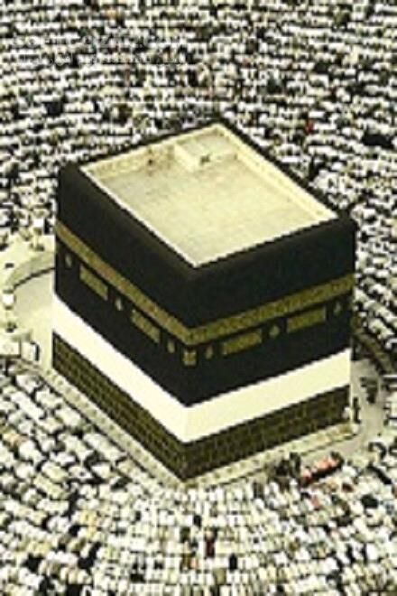 دانلود دانستنی های لازم در عربستان برای کارگزاران و زائران حج و عمره - دانلود کتاب آنچه حجاج ایرانی باید از مقررات عربستان بدانند - سافت گذر