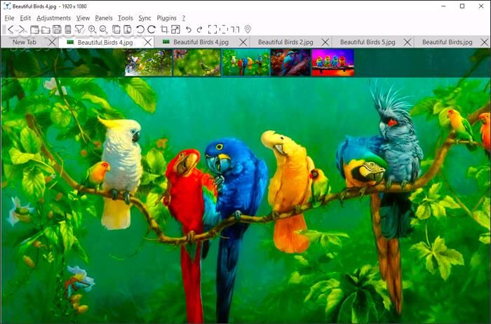 دانلود nomacs 3.22.0 - دانلود مشاهده و ویرایش عکس - سافت گذر