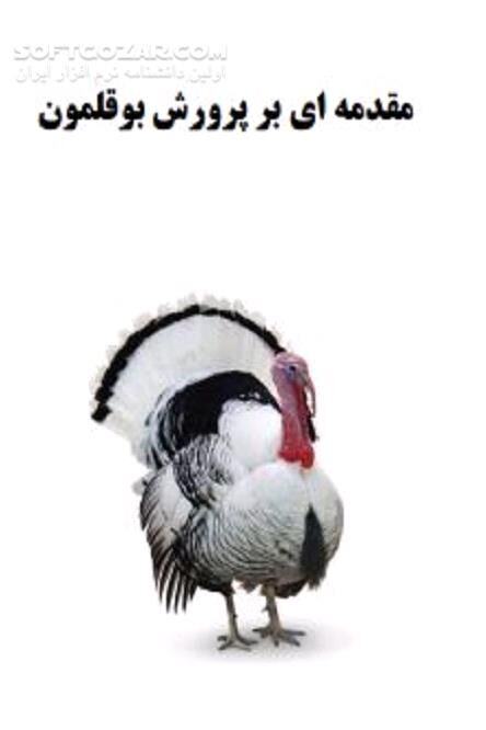 دانلود نگهداری بوقلون - دانلود کتاب پرورش بوقلمون - سافت گذر