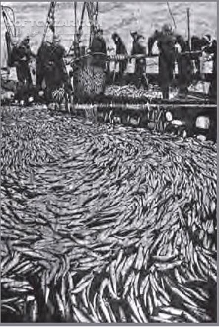 دانلود بالا بردن توانایی در ماهی گیری - دانلود کتاب آشنایی با ابزارهای صید ماهیگیری - سافت گذر