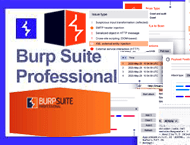 دانلود Burp Suite Professional 2025.11.6