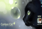 دانلود Curious Cat 1.2.0 for Android +2.1
