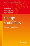 دانلود Introduction to energy economics