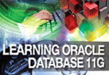 دانلود InfiniteSkills – Learning Oracle 11g Training Video
