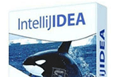دانلود JetBrains IntelliJ IDEA Ultimate 2025.3.2 Win/Mac/Linux