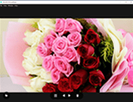 دانلود LeafView 3.9.4