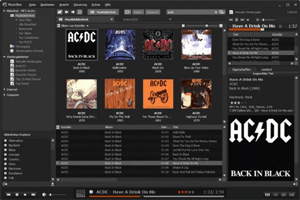 دانلود MusicBee 3.6.9403