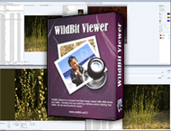 دانلود WildBit Viewer 6.19 Commercial